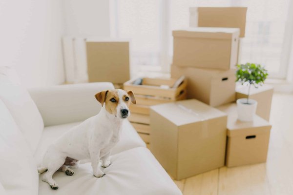 What Are the Key Features of a Professional yet Comfortable Nursing Shoe?